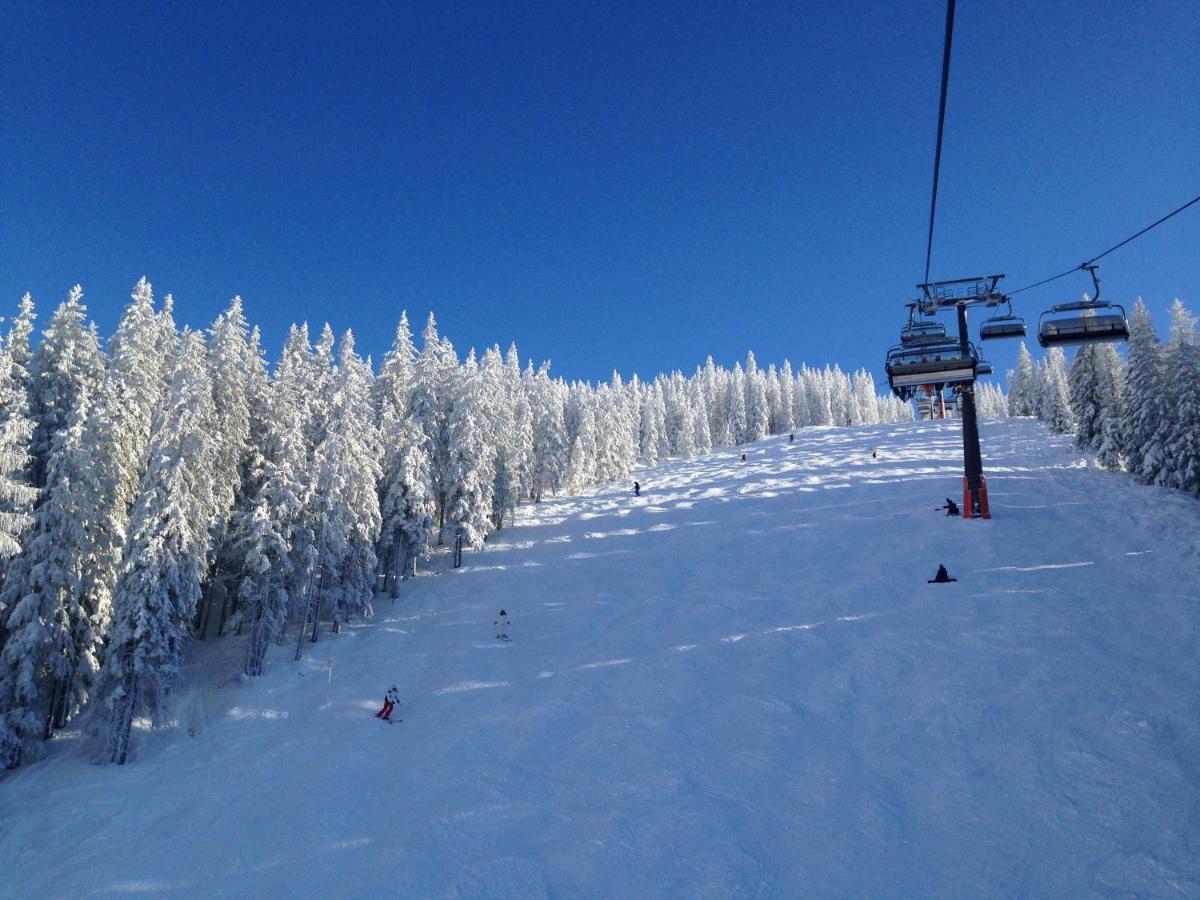 דירות Mühlbach am Hochkönig Muhlbach 345B מראה חיצוני תמונה